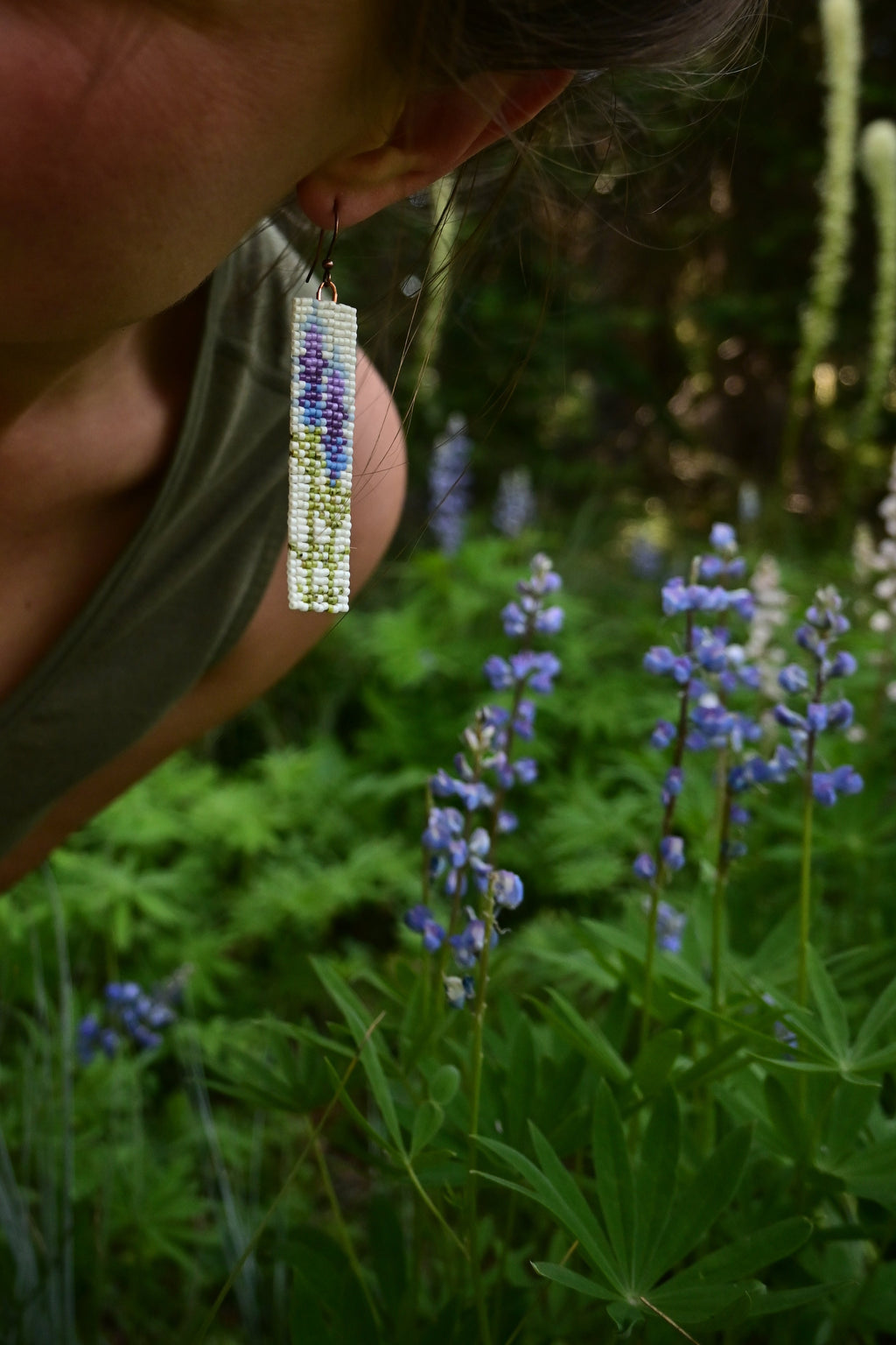 Lupine Wildflowers