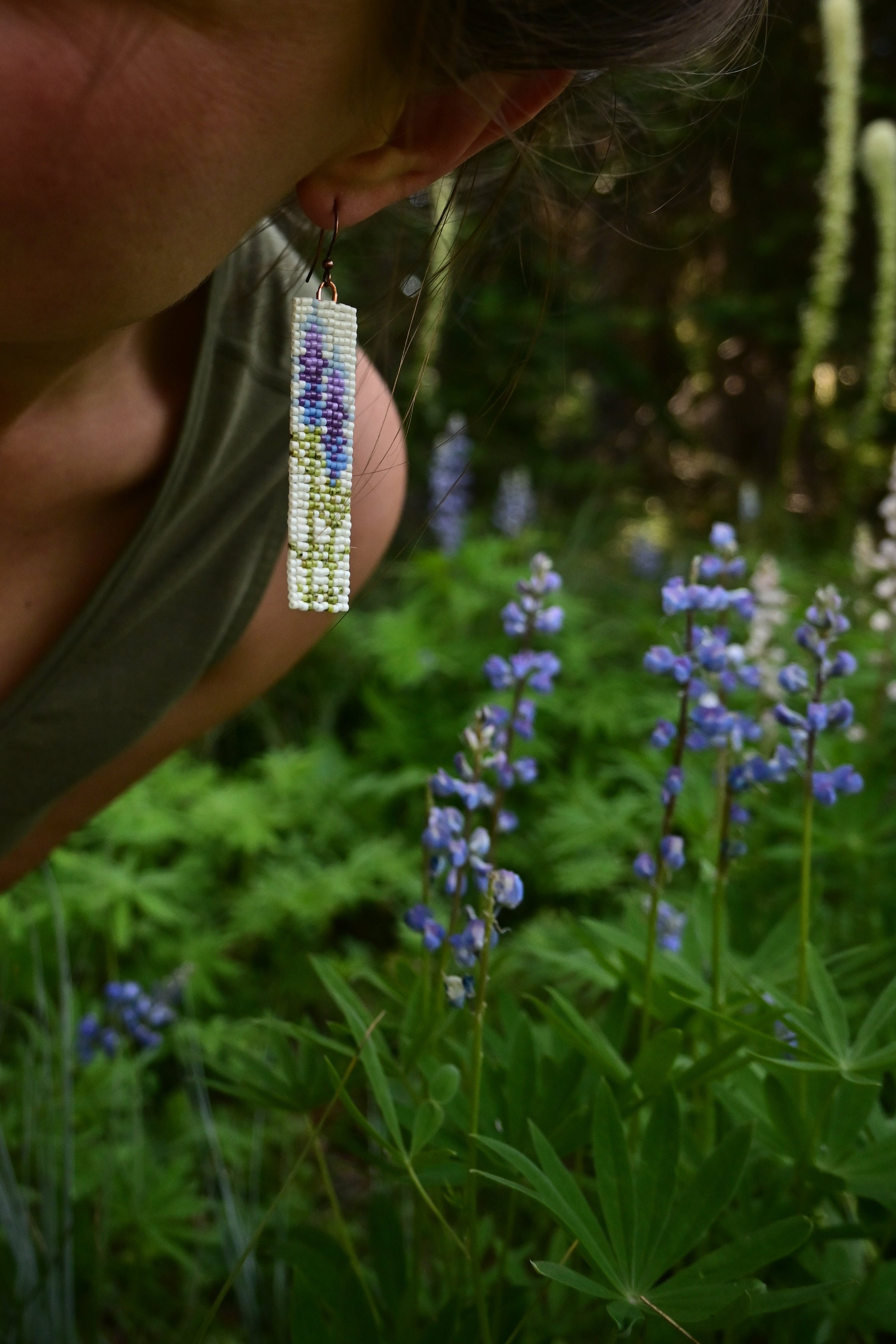Lupine Wildflowers