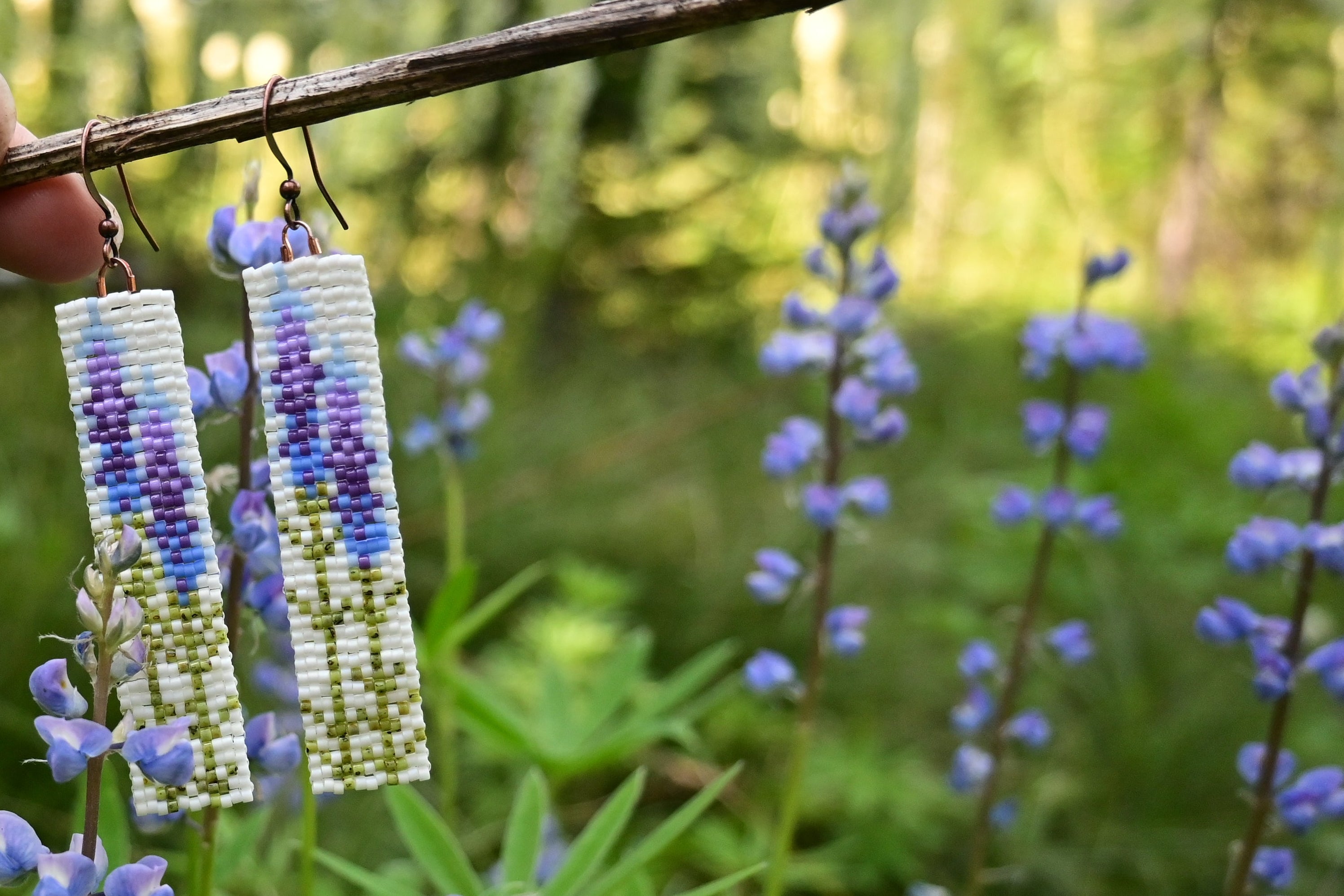 Lupine Wildflowers